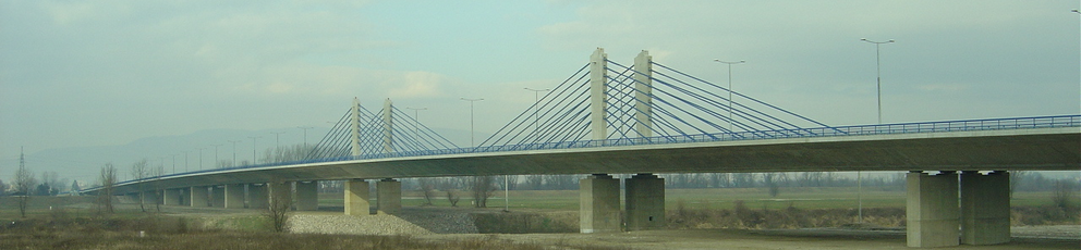 Homeland Bridge